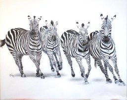 Zebras Zoo @ Nelumbo